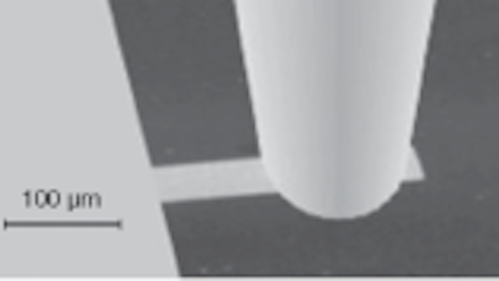 Th 0611lfne14