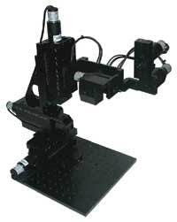 Th 0611lfwdiscovery Th 0611lfwdiscovery