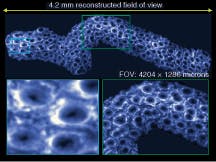 Th 0612lf02f1 Th 0612lf02f1