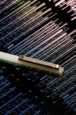 Th 0612lfw2frontis Th 0612lfw2frontis