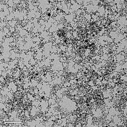 Rutile nanoparticles with a uniform size smaller than 10 nm are fabricated by laser pyrolysis; added to a transparent polymer, the particles boost the refractive index of the polymer without causing scattering of light.