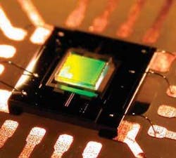 Th 0701lfw 5f2cvr Th 0701lfw 5f2cvr