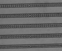 An integrated array of five optofluidic dye lasers has DFB periods ranging from 3080 to 2240 nm. An integrated array of five optofluidic dye lasers has DFB periods ranging from 3080 to 2240 nm.