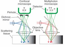 FIGURE 2. In a typical setup, a multiphoton excitation microscope uses a conventional optical microscope objective in conjunction with a photomultiplier tube (or other detector) that is filtered to eliminate stray light from the laser or other source; a dichroic mirror that reflects the near-infrared laser light down through the objective while transmitting the visible fluorescent light to the photodetector; and to an x-y raster scanning unit that can rapidly deflect the laser beam over the objective field. FIGURE 2. In a typical setup, a multiphoton excitation microscope uses a conventional optical microscope objective in conjunction with a photomultiplier tube (or other detector) that is filtered to eliminate stray light from the laser or other source; a dichroic mirror that reflects the near-infrared laser light down through the objective while transmitting the visible fluorescent light to the photodetector; and to an x-y raster scanning unit that can rapidly deflect the laser beam over the objective field.