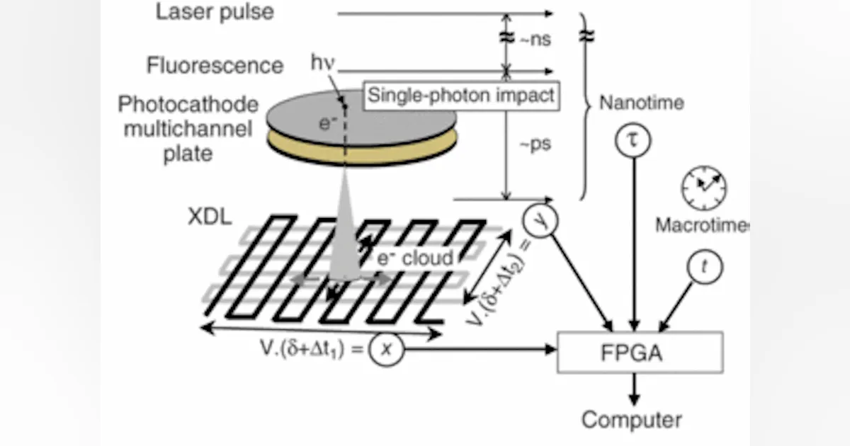 Microscope Detector Array DETECTORS FOR MICROSCOPY: Next-generation 3-D detector improves single ...