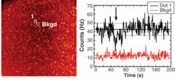 FIGURE 2. An accumulated image (left; 3 minute duration; image size 130 × 130 µm) of 565 nm emitting quantum dots excited in total internal reflection mode by a 488 nm laser is analyzed and a time trace is drawn corresponding to one of the dots in the image (black curve; 1 s resolution) against the local background (red curve). Despite the low signal-to-noise ratio, a clear blinking event can be observed (arrow) indicating that a single quantum dot was observed. These quantum dots exhibited very little blinking when observed in similar conditions using an ultrasensitive EMCCD. FIGURE 2. An accumulated image (left; 3 minute duration; image size 130 × 130 µm) of 565 nm emitting quantum dots excited in total internal reflection mode by a 488 nm laser is analyzed and a time trace is drawn corresponding to one of the dots in the image (black curve; 1 s resolution) against the local background (red curve). Despite the low signal-to-noise ratio, a clear blinking event can be observed (arrow) indicating that a single quantum dot was observed. These quantum dots exhibited very little blinking when observed in similar conditions using an ultrasensitive EMCCD.