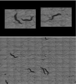 Th 0704lfw 4f3 Th 0704lfw 4f3