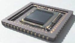FIGURE 2. An artificial apposition compound eye has an array of 64 × 64 ultrathin lenslets glued to a CMOS image sensor, making it thin enough to fit in a standard credit card. FIGURE 2. An artificial apposition compound eye has an array of 64 × 64 ultrathin lenslets glued to a CMOS image sensor, making it thin enough to fit in a standard credit card.