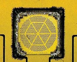 Th 0705lfw Newsbreaks3 Th 0705lfw Newsbreaks3