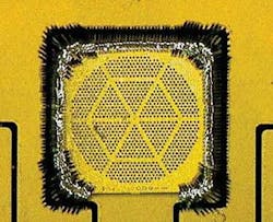 Th 0705lfw Newsbreaks3 Th 0705lfw Newsbreaks3