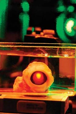 FIGURE 1. A sub-5 fs pulse is transmitted through a bovine eye whose retina has been removed for group-velocity-dispersion measurements with MIIPS. FIGURE 1. A sub-5 fs pulse is transmitted through a bovine eye whose retina has been removed for group-velocity-dispersion measurements with MIIPS.