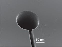 Th 0706lfw 03f2 Th 0706lfw 03f2