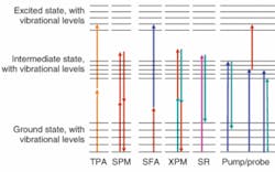 FIGURE 1. Several nonlinear processes can provide new approaches to contrast in optical microscopy. One-color experiments include two-photon absorption (TPA) and self-phase modulation (SPM). Two-color experiments without an intermediate state include sum-frequency absorption (SFA), cross-phase modulation (XPM), and stimulated Raman. With an intermediate state (for example, for pigmented targets such as melanin), a variety of pump/probe experiments with interpulse delays become useful. FIGURE 1. Several nonlinear processes can provide new approaches to contrast in optical microscopy. One-color experiments include two-photon absorption (TPA) and self-phase modulation (SPM). Two-color experiments without an intermediate state include sum-frequency absorption (SFA), cross-phase modulation (XPM), and stimulated Raman. With an intermediate state (for example, for pigmented targets such as melanin), a variety of pump/probe experiments with interpulse delays become useful.