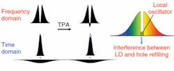 FIGURE 4. Nonlinear processes, such as two-photon absorption or self-phase modulation, alter the frequency content of a shaped pulse (left). For example, a shaped pulse with a “hole” in its spectrum will have the hole refilled by TPA (with a phase of 180º, which normally cannot be seen by an optical detector); SPM would also refill the hole, but with a phase of 90º. The refilling is detected by creating a pulse with a “local oscillator,” rather than a complete hole, and varying the phase of the local oscillator fast enough to beat any physiological noise components (right). Such rapid pulse shaping is readily done by acousto-optic methods. FIGURE 4. Nonlinear processes, such as two-photon absorption or self-phase modulation, alter the frequency content of a shaped pulse (left). For example, a shaped pulse with a “hole” in its spectrum will have the hole refilled by TPA (with a phase of 180º, which normally cannot be seen by an optical detector); SPM would also refill the hole, but with a phase of 90º. The refilling is detected by creating a pulse with a “local oscillator,” rather than a complete hole, and varying the phase of the local oscillator fast enough to beat any physiological noise components (right). Such rapid pulse shaping is readily done by acousto-optic methods.