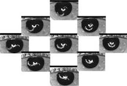 FIGURE 3. Purkinje images at each of nine different fixation points of the eye show the relative position of the PI, PIII, and PIV semicircular interface reflections, revealing information about misalignments within the eye.