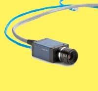 Th 0706lfw Dalsa Th 0706lfw Dalsa