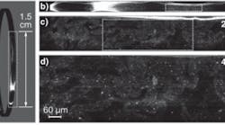 A section of swine intestinal tissue is displayed at 1× (a), 4× (b), 20× (c), and 40× (d) magnification levels using a spectrally encoded confocal-microscopy technique. Dotted rectangles in each image represent the zoomed regions of interest. This technique can image a 4 × 4 cm subsurface tissue area with a transverse resolution of 2.1 µm in less than one minute. A section of swine intestinal tissue is displayed at 1× (a), 4× (b), 20× (c), and 40× (d) magnification levels using a spectrally encoded confocal-microscopy technique. Dotted rectangles in each image represent the zoomed regions of interest. This technique can image a 4 × 4 cm subsurface tissue area with a transverse resolution of 2.1 µm in less than one minute.