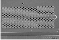 Th 0706lfw Newsbrks3 Th 0706lfw Newsbrks3