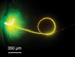 Th 0707lfw Nbf2 Th 0707lfw Nbf2