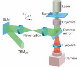 FIGURE 2. By combining dynamic holographic optical trapping with a holographic video-microscopy system, multiple traps can be independently steered; each trap can be placed wherever desired in a 2-D space and shifted wherever desired in the third dimension, and the details can be updated at roughly 30 Hz for real-time manipulation of the sample.
