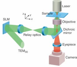 FIGURE 2. By combining dynamic holographic optical trapping with a holographic video-microscopy system, multiple traps can be independently steered; each trap can be placed wherever desired in a 2-D space and shifted wherever desired in the third dimension, and the details can be updated at roughly 30 Hz for real-time manipulation of the sample. FIGURE 2. By combining dynamic holographic optical trapping with a holographic video-microscopy system, multiple traps can be independently steered; each trap can be placed wherever desired in a 2-D space and shifted wherever desired in the third dimension, and the details can be updated at roughly 30 Hz for real-time manipulation of the sample.