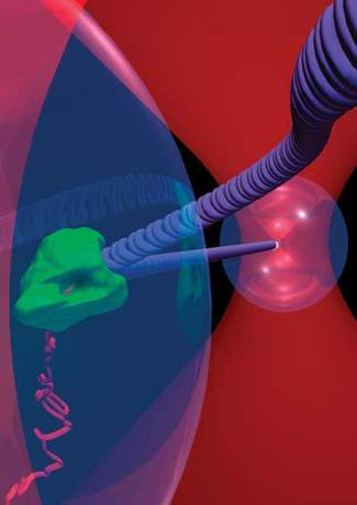 FIGURE 1. Optical traps use light from a tightly focused laser beam to trap small, polarizable objects such as dielectric beads (the green object) in a 3-D potential well centered near the focal point. For biophysical experiments, a force clamp (the blue object) that fixes the load on the bead offers several advantages; the force clamp is typically implemented using a feedback system that measures the instantaneous position of the trapped object and then moves the trap to maintain a set displacement between the object and the trap center.