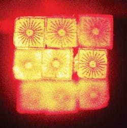 Th 0708lfwnwsbk1 Th 0708lfwnwsbk1