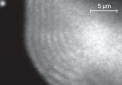 The three-dimensional shape of a microscopic object, such as this gallium droplet, can be constructed from fringes obtained using photoemission-electron microscopy and a 19th-century Lloyd’s-mirror technique. The three-dimensional shape of a microscopic object, such as this gallium droplet, can be constructed from fringes obtained using photoemission-electron microscopy and a 19th-century Lloyd’s-mirror technique.