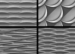 Th 0709lfwnwsbk1 Th 0709lfwnwsbk1