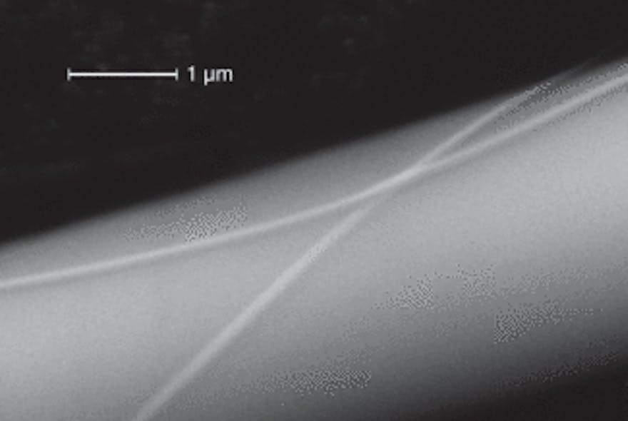 FIGURE 1. Two nanowires with radii of 30 and 50 nm manufactured from standard telecom optical fibers (around which they are entwined) are shown in a scanning-electron micrograph.