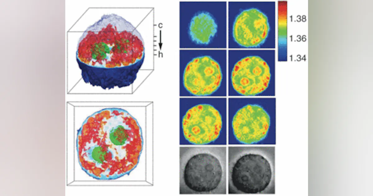 Mit Imaging Processing Lab BIOMEDICAL IMAGING: MIT researchers obtain 3-D images of living cells ...