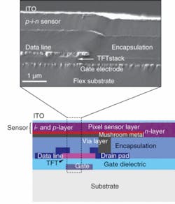 The a-Si:H p-i-n structures coated with an unpassivated indium tin oxide layer were prepared by plasma-enhanced chemical-vapor deposition at process temperatures from 130&ordm;C to 210&ordm;C. The sensor stack is shown in cross section by scanning-electron microscopy (top) and in schematic (bottom).