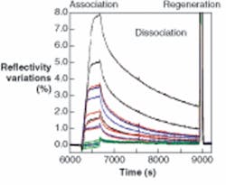 FIGURE 2. One valuable benefit of surface plasmon resonance comes from the ability to measure the kinetics of two molecules binding. Here the kinetic curves show 15 interactions, with each data set taken from one spot on an array tagged with 15 molecules. The graph shows a sample binding to the 15 spots (association), the degradation of the bonds (dissociation), and the bonds forming a second time (regeneration). FIGURE 2. One valuable benefit of surface plasmon resonance comes from the ability to measure the kinetics of two molecules binding. Here the kinetic curves show 15 interactions, with each data set taken from one spot on an array tagged with 15 molecules. The graph shows a sample binding to the 15 spots (association), the degradation of the bonds (dissociation), and the bonds forming a second time (regeneration).