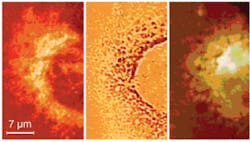 Th 0711lfw 100 Th 0711lfw 100