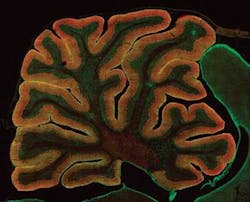 Th 0711oew1f5 Th 0711oew1f5