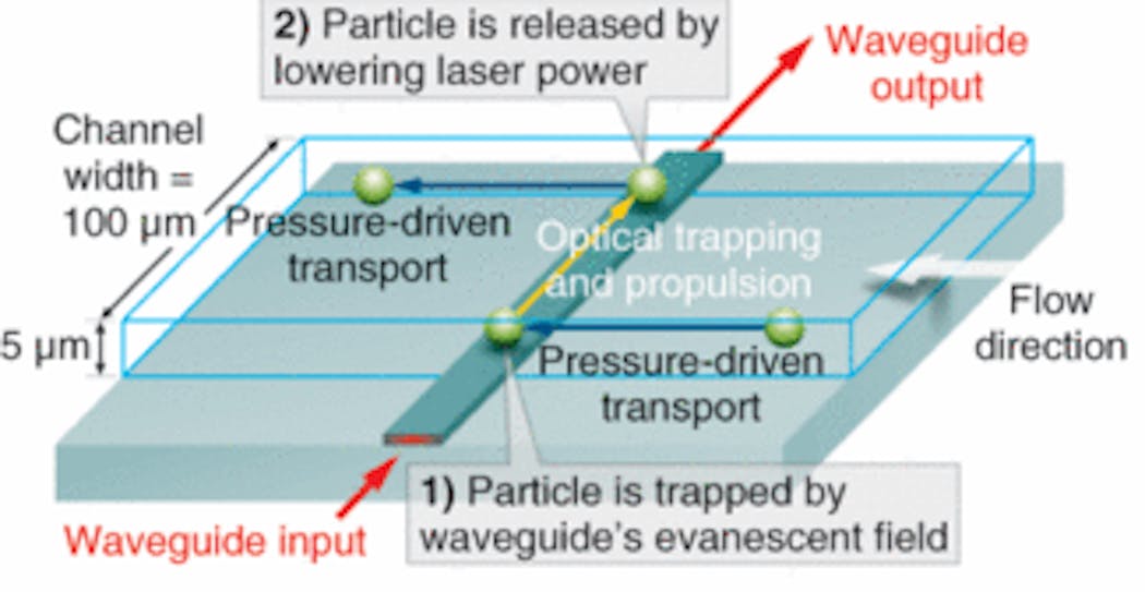 Planar waveguides and microfluidic channels are integrated in a lab-on-a-chip configuration that can be used for optical trapping and sorting. The optical-waveguide propulsion is perpendicular to the direction of the pressure-driven flow in the channel.