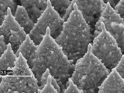 Th 0712lfwnwsbks2 Th 0712lfwnwsbks2