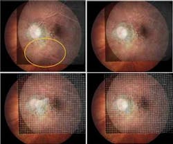 Th 08005lfw P59 Th 08005lfw P59