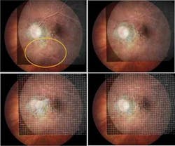 Th 08005lfw P59 Th 08005lfw P59