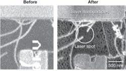 Images of carbon nanotubes before and after deposition of silver nanoparticles shows SERS-induced burnout. The white circle indicates the size and location of the laser spot. A lithographically patterned gold strip appears bright (left) due to an electron-beam-induced charge contrast.
