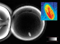 Th 0802lfwnb2 Th 0802lfwnb2