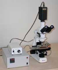 Th 0803lfwklughammer Th 0803lfwklughammer