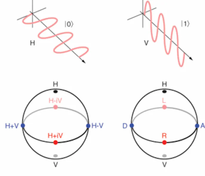 Quantum information Processing: Photons promise an exciting route to ...
