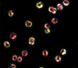 Th 0804lfwnb3 Th 0804lfwnb3