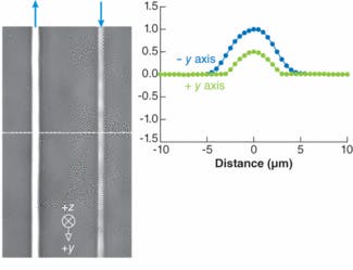 Line structures written along the +y and -y axis of an LiNbO3 sample are imaged using a quantitative phase microscopy system (left). Writing directions of the structures are shown by arrows and the lines were written by a laser beam directed along the z axis. The phase change across the dashed line is graphed (above).