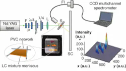 In the experimental setup an Nd:YAG laser was used to pump a dye-doped sample freely suspended by means of a squared-comb PVC net (inset photo, left). The spatial distribution of the lasing peaks, which stochastically changes for each pump pulse, is shown in the inset (right bottom).