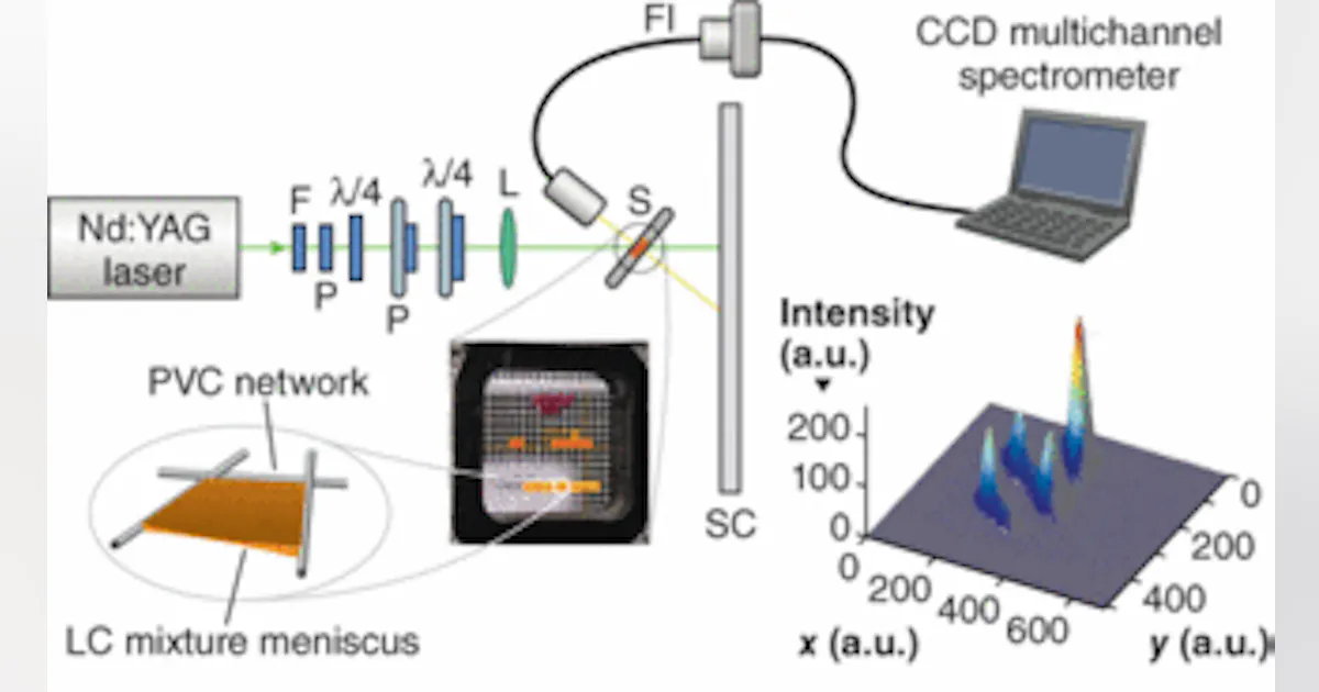 Random Lasing LASER PHYSICS: Random lasing needs no boundaries | Laser Focus World