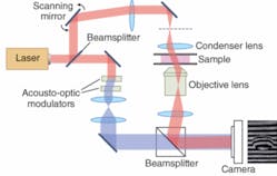 FIGURE 3. In the tomographic phase microscope developed at MIT the input beam is divided into an object beam directed through the sample and a reference beam that is shifted 1250 Hz by a pair of acousto-optic modulators. The change in color shows the frequency-shifted beam. Interference of the two beams generates the image at right.