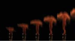 FIGURE 1. A nine-frame image sequence shows the explosive discharge of spores from Sphagnum moss recorded at 10,000 fps, thanks to the capabilities of modern high-speed digital cameras.