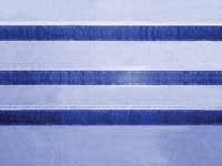 Th 0805lfwjpsaphoto Th 0805lfwjpsaphoto